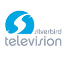 silverbird-television